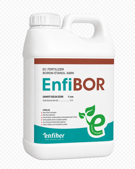 EnfiBOR