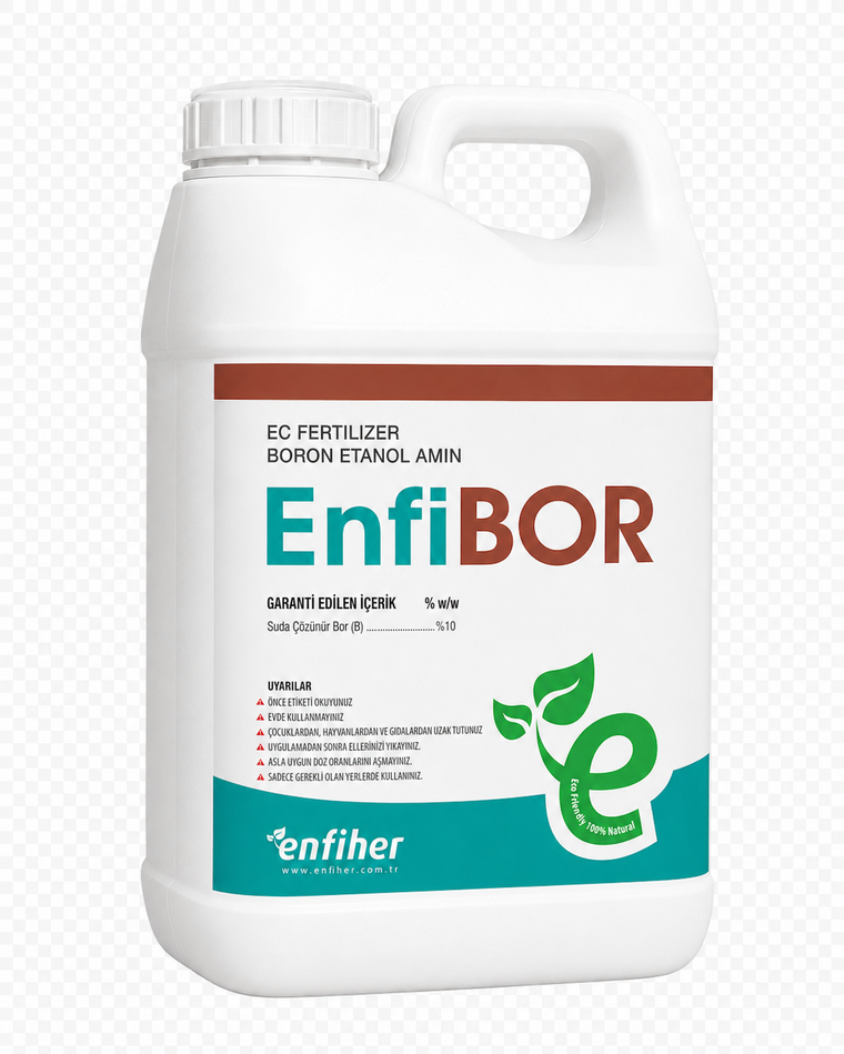 EnfiBOR