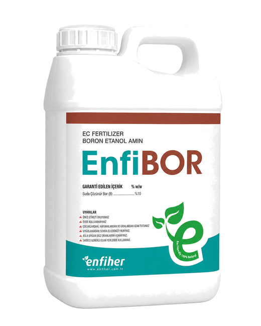 EnfiBOR