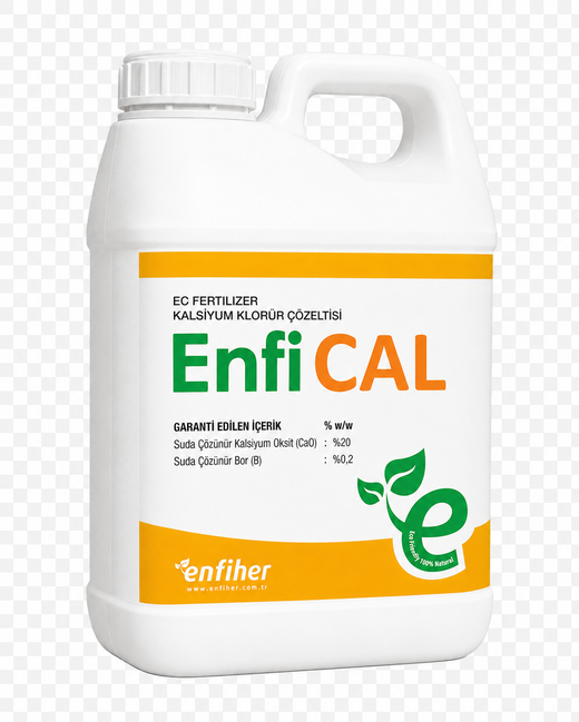 EnfiCAL