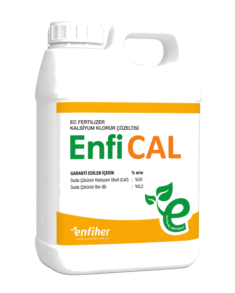 EnfiCAL