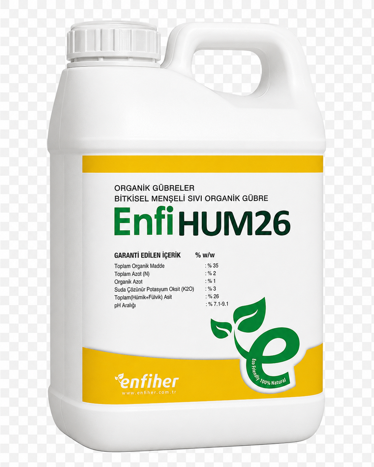 EnfiHUM 26