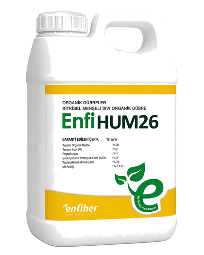 EnfiHUM 26