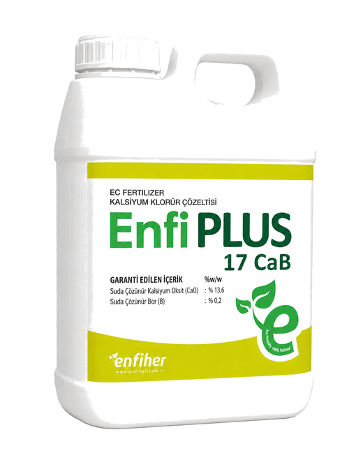 EnfiPLUS 17 CaB