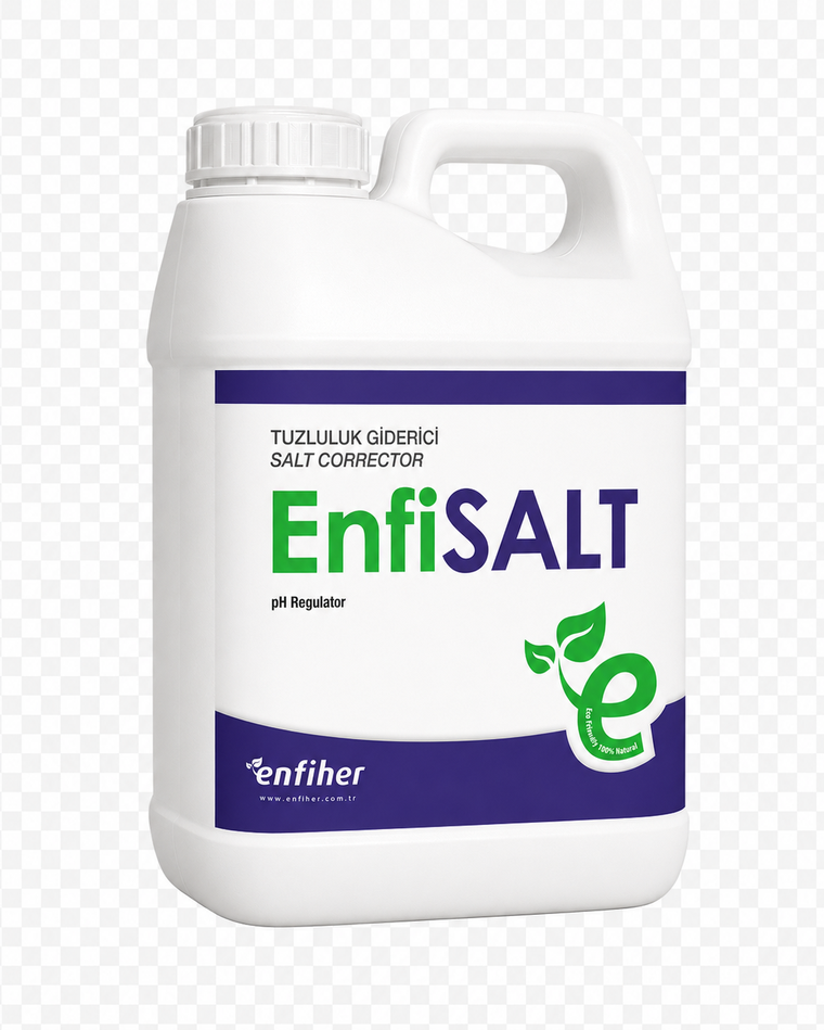 EnfiSALT