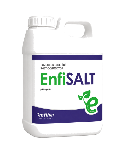 EnfiSALT