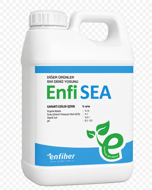 EnfiSEA